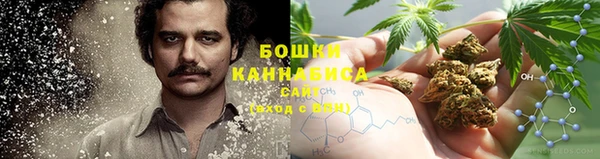 дурь Краснотурьинск