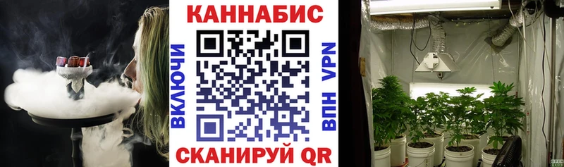 Купить где  Новомичуринск  Бошки марихуана OG Kush 